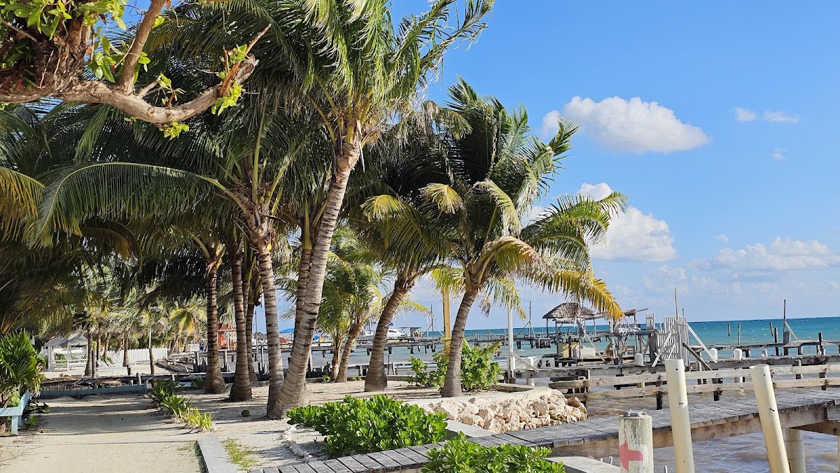 Sue Casa/Caye Caulker Huts gallery 3