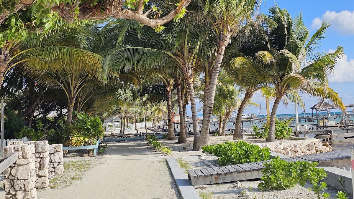 Sue Casa/Caye Caulker Huts gallery 8