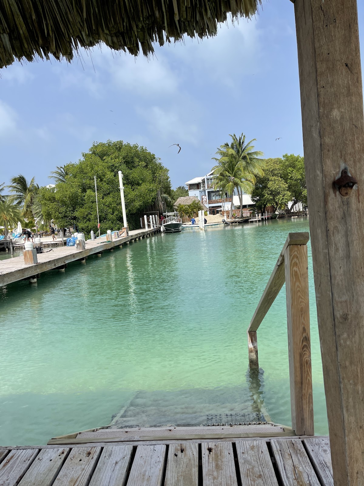 The Dive House gallery 2