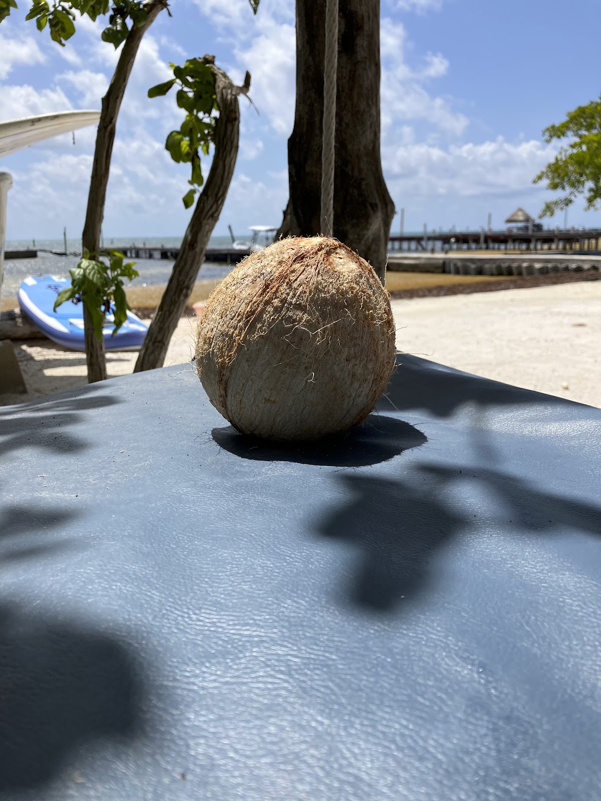 Casa Vista Belize gallery 9