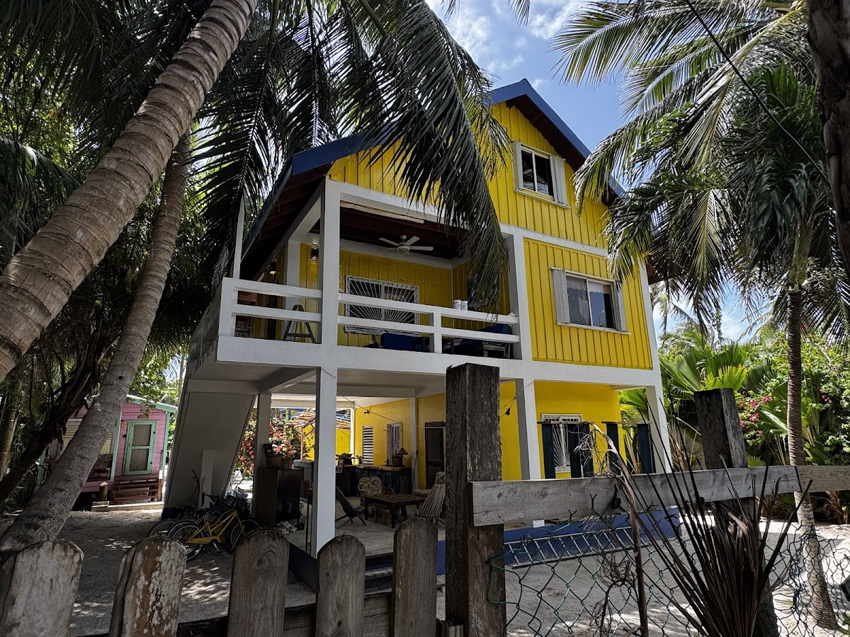 Gumbo Limbo gallery 2
