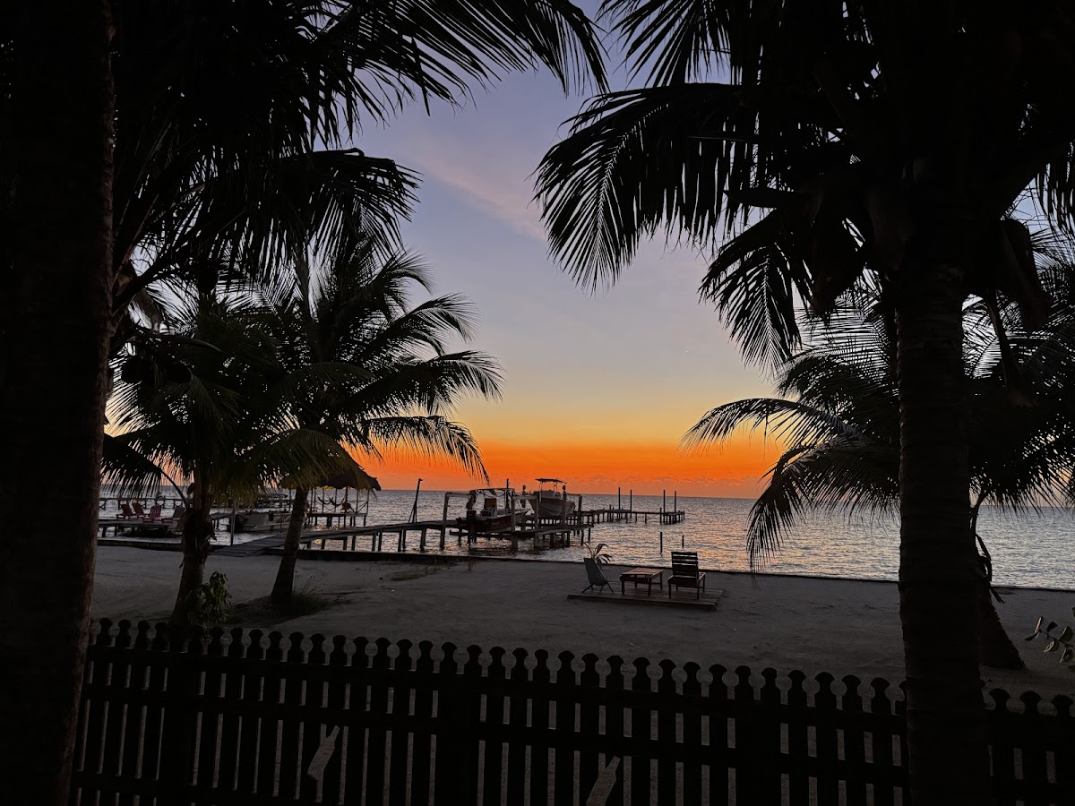 Gumbo Limbo gallery 3