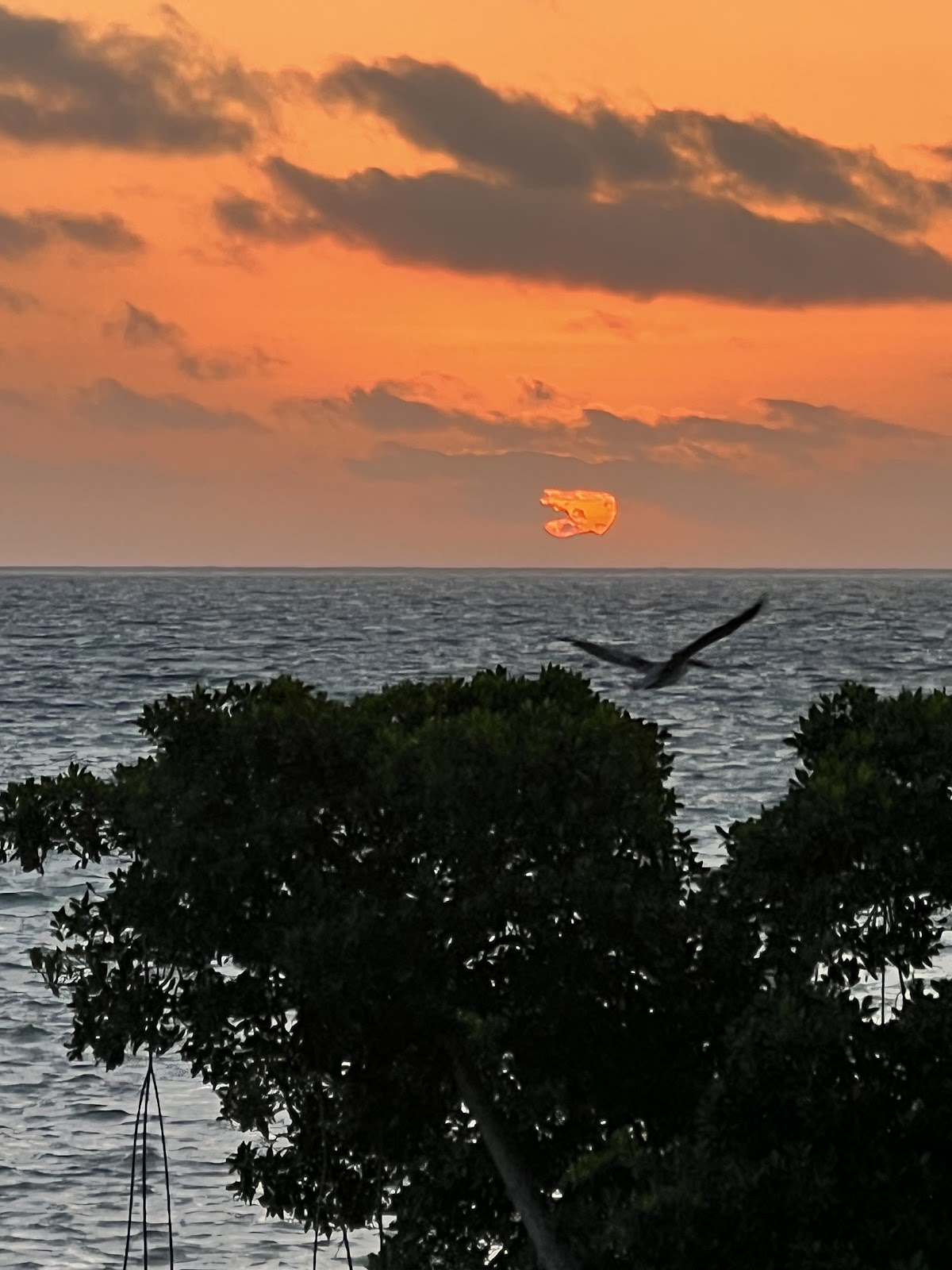 Island Pearl Resort gallery 10
