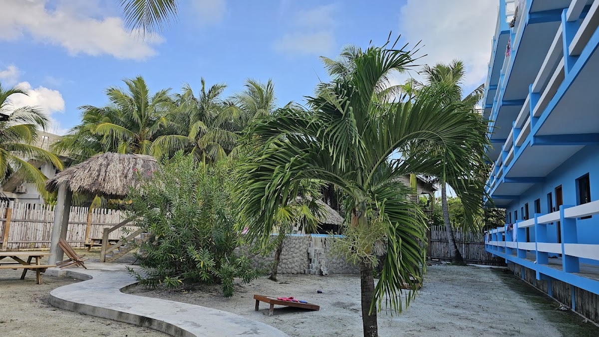 Mayan Falls gallery 8