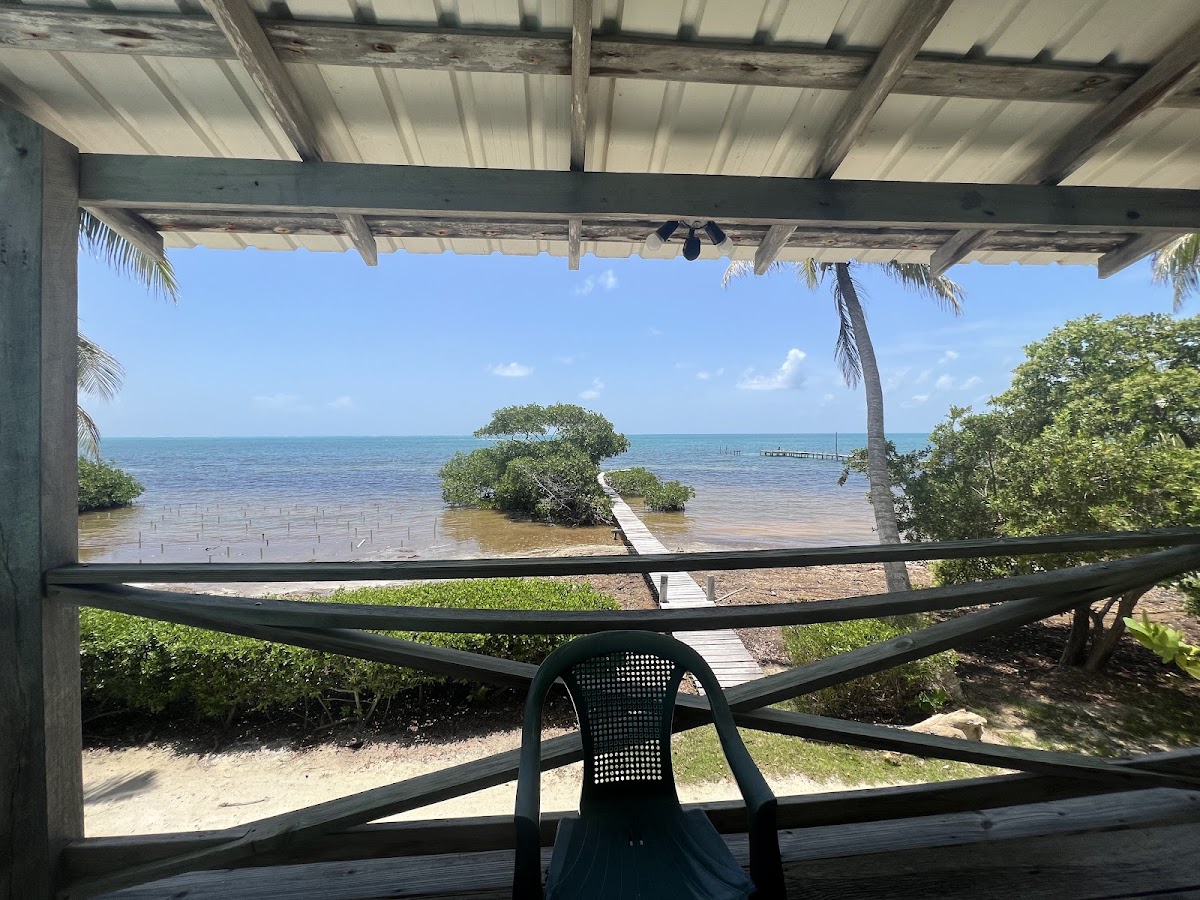 Coconut Grove gallery 2