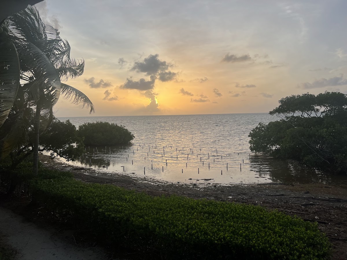 Coconut Grove gallery 4