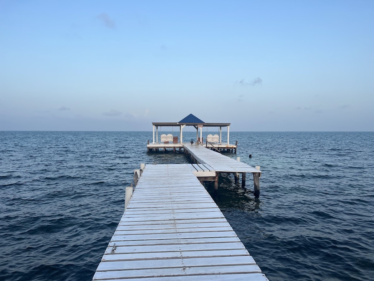 Coconut Grove gallery 5