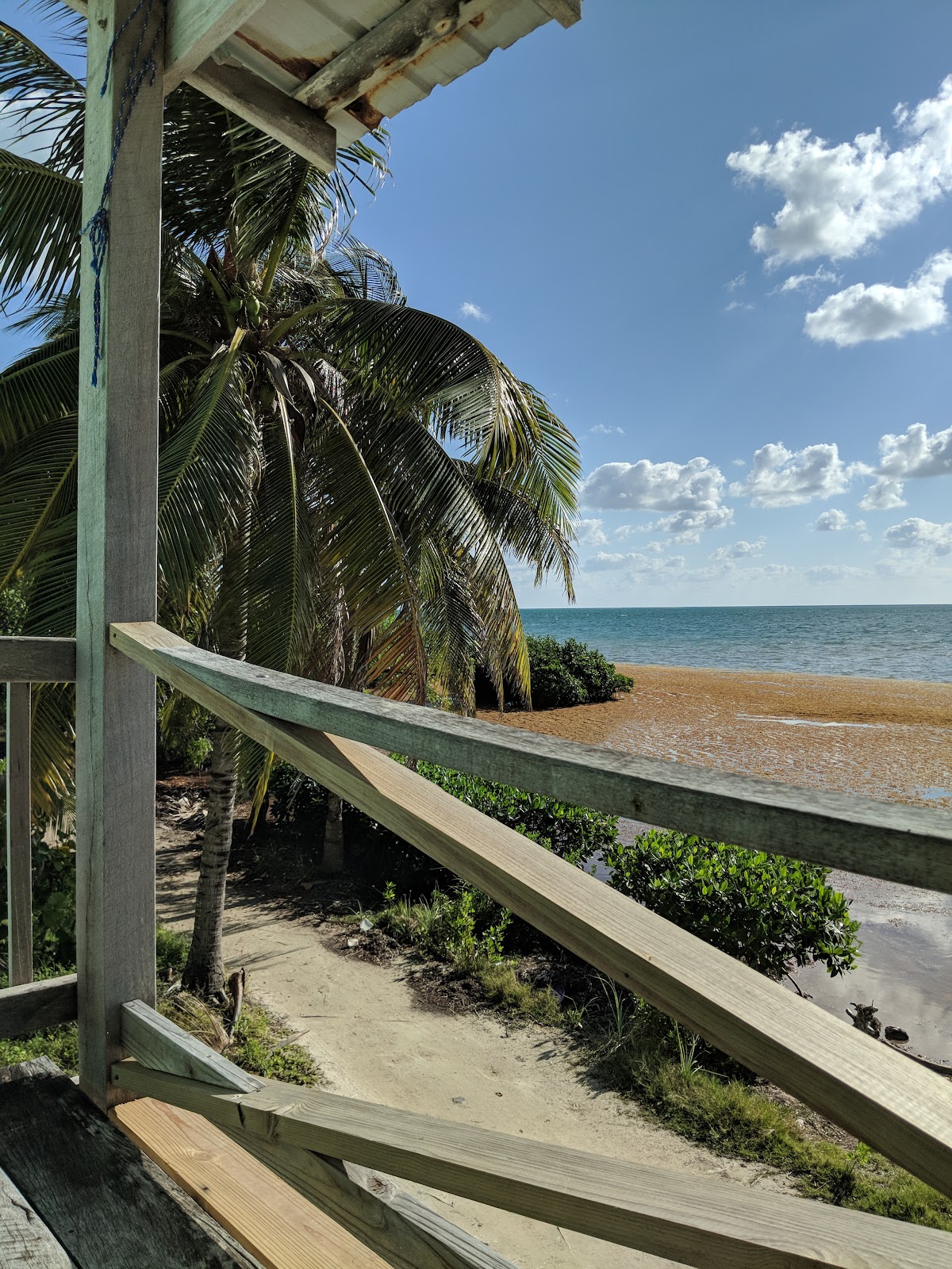 Coconut Grove gallery 7