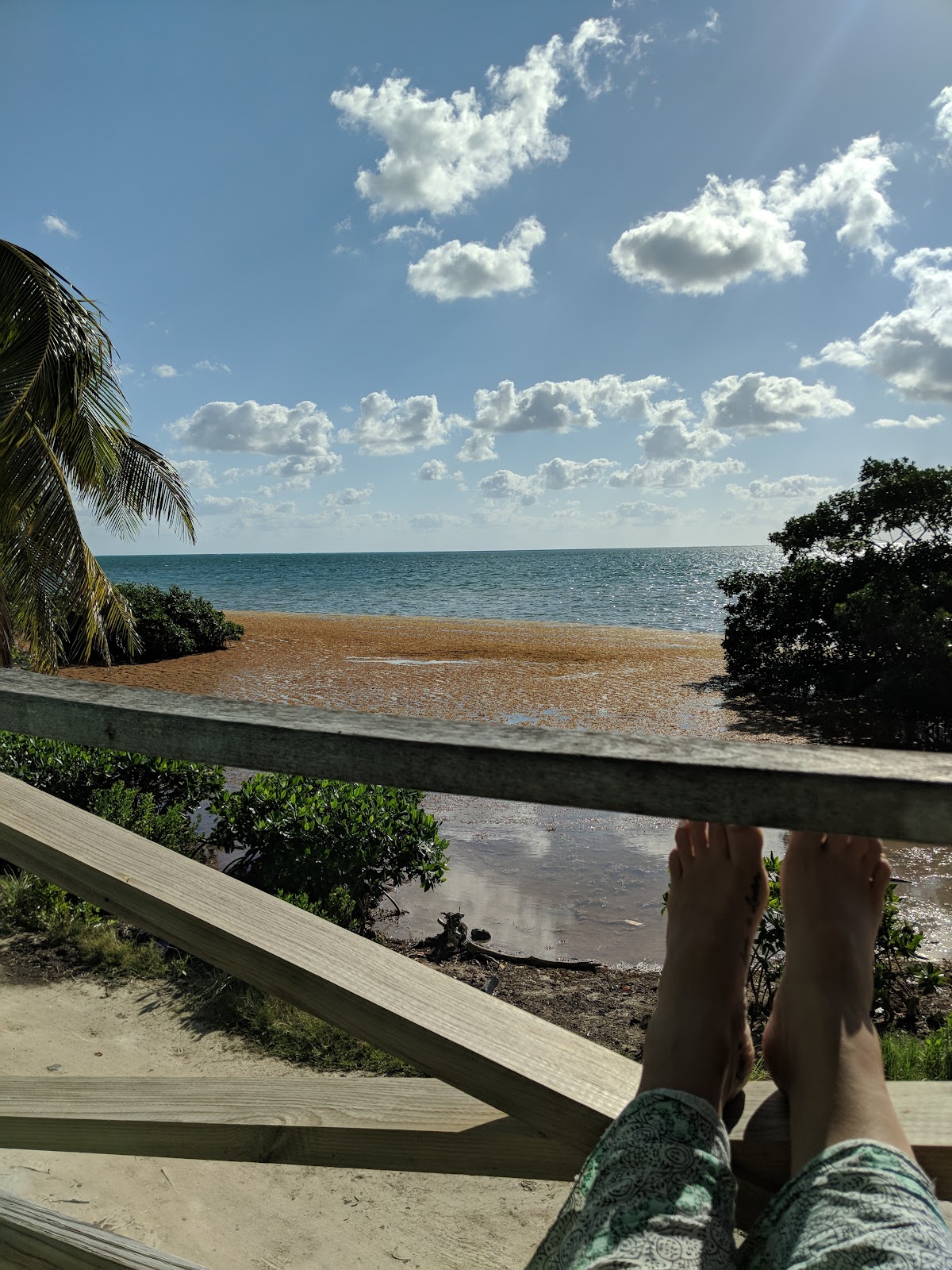 Coconut Grove gallery 9