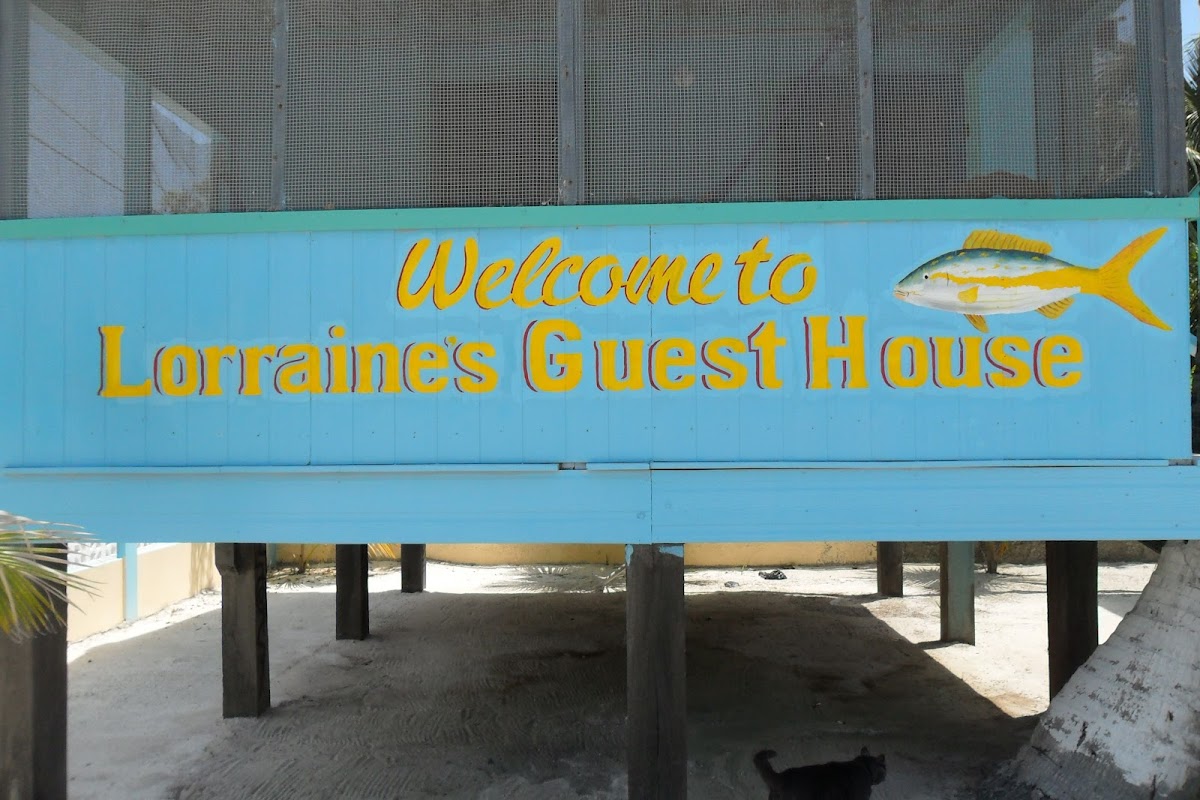 Lorraines Guesthouse gallery 4