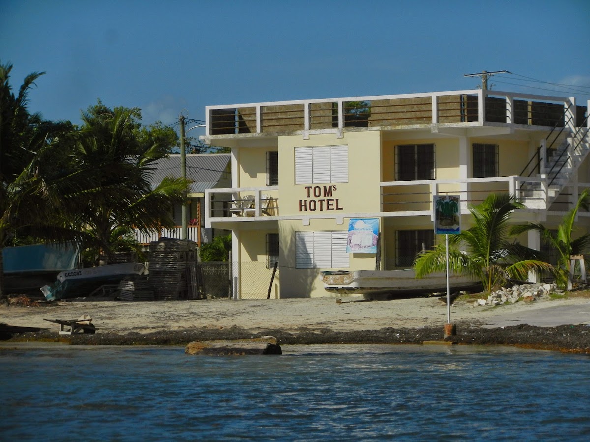 Tom's Hotel gallery 7