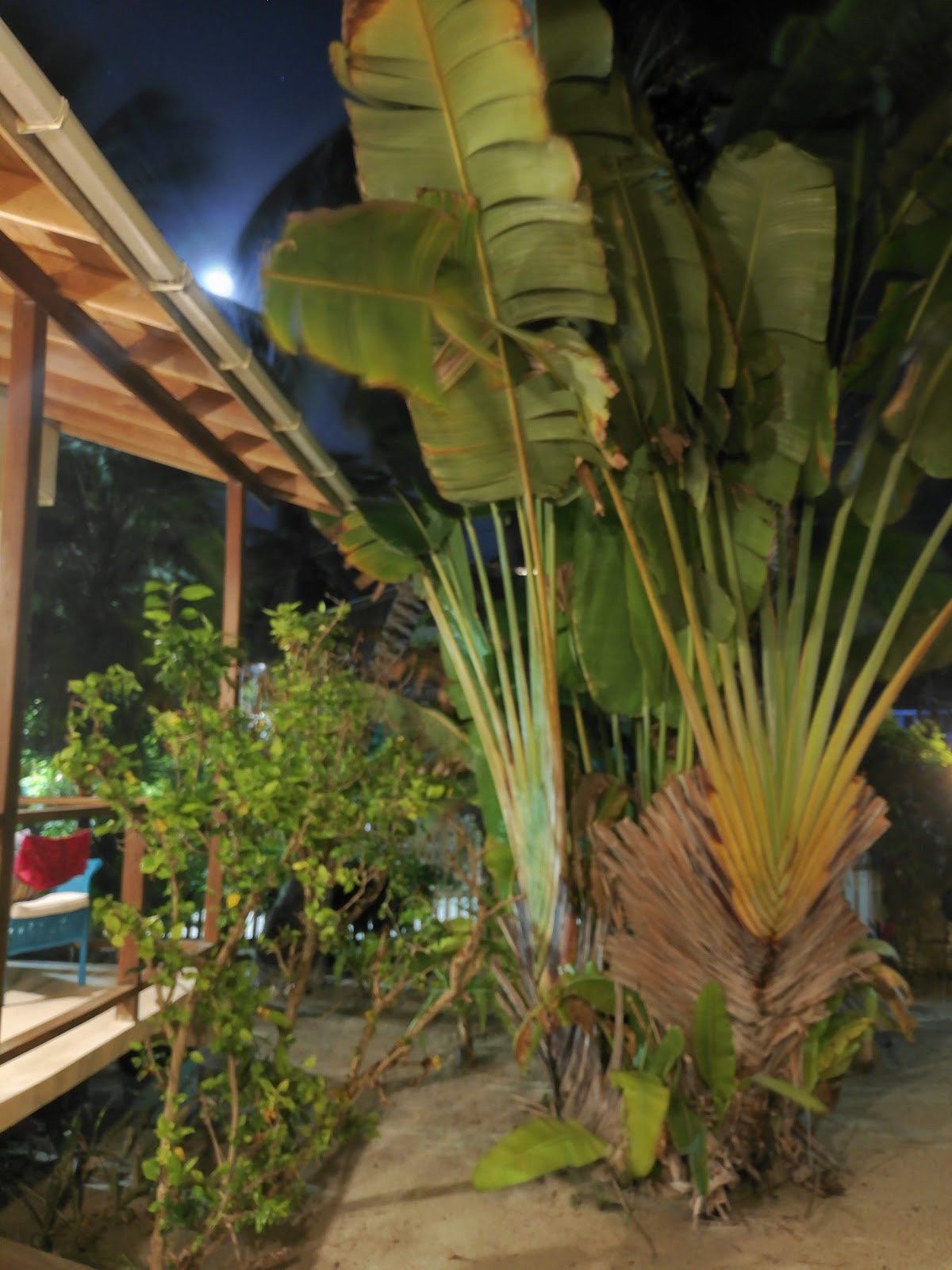 Casita Carinosa gallery 6