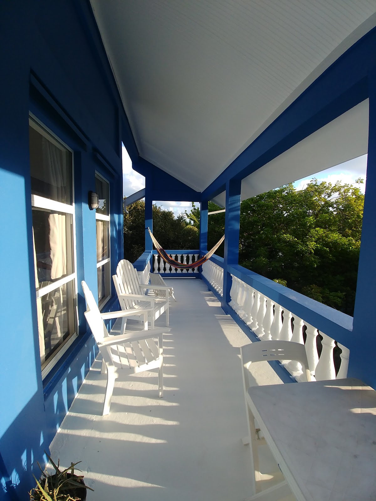 Blue Lotus gallery 4