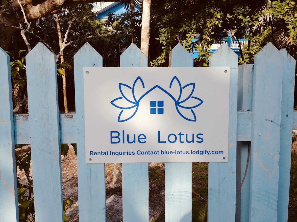 Blue Lotus gallery 5