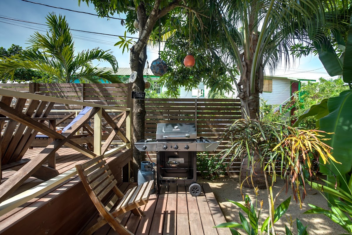 Driftwood Gardens Guesthouse gallery 6