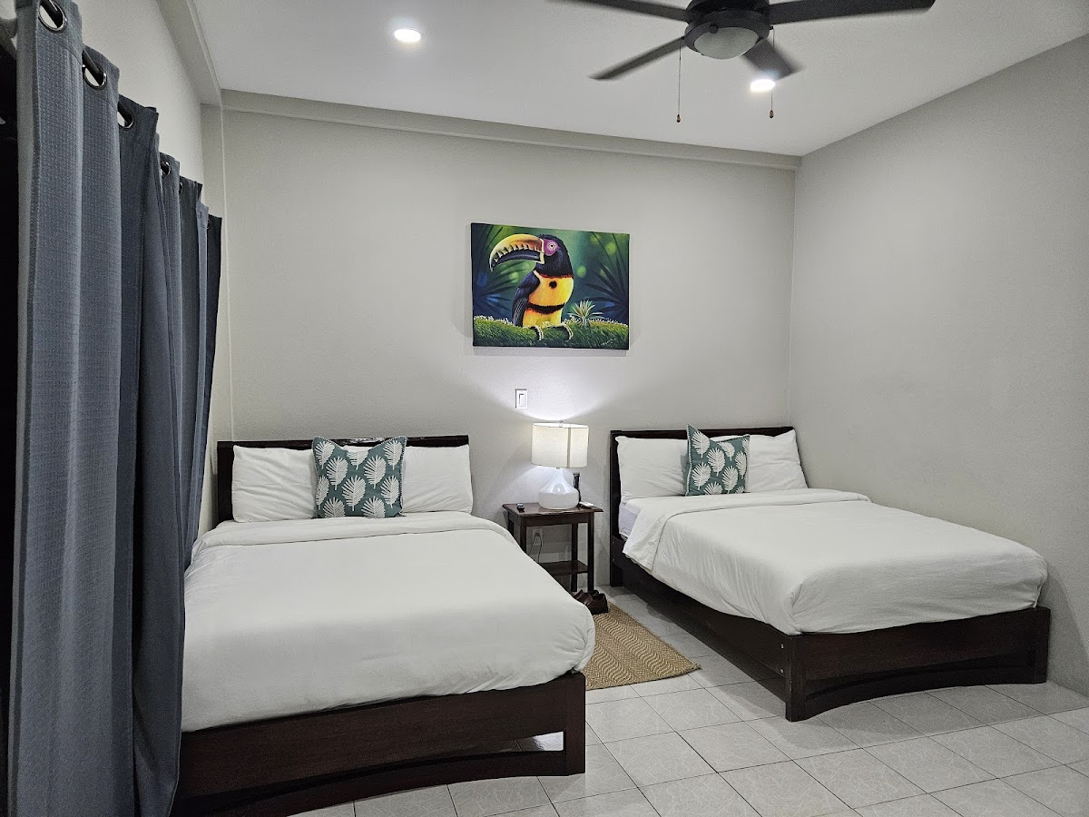 The Toucan Inn gallery 7