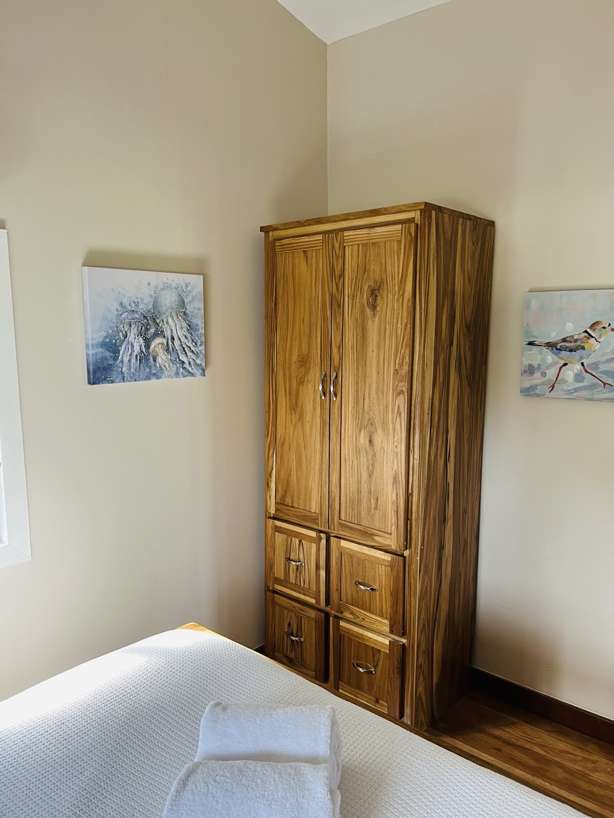 The Flying Toucan gallery 8