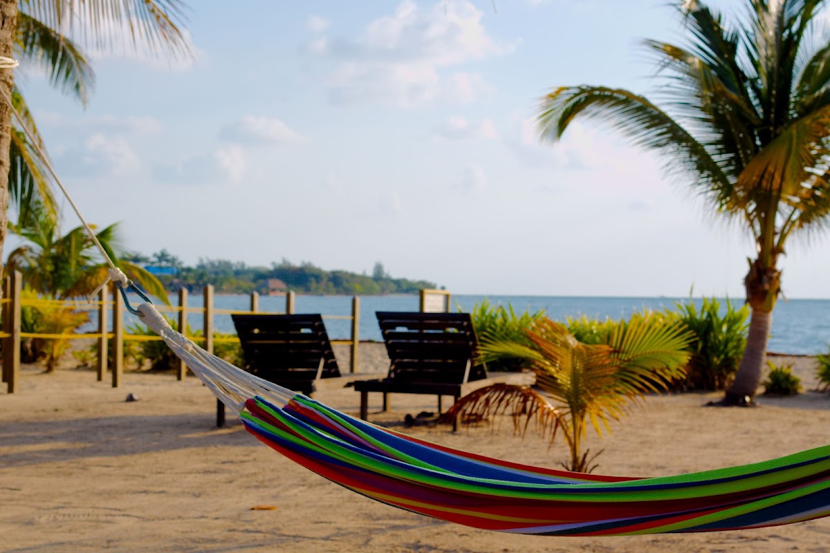 Moonflower Belize gallery 5