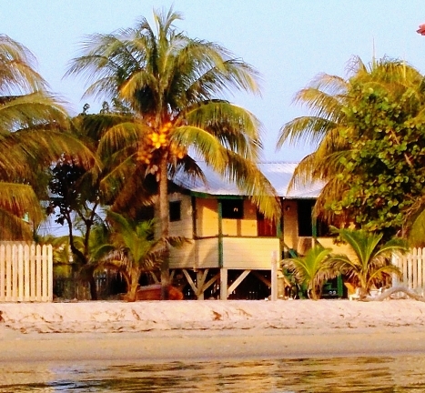 Coconut Cottage aka Westbys Coconut Cottage Placencia cover