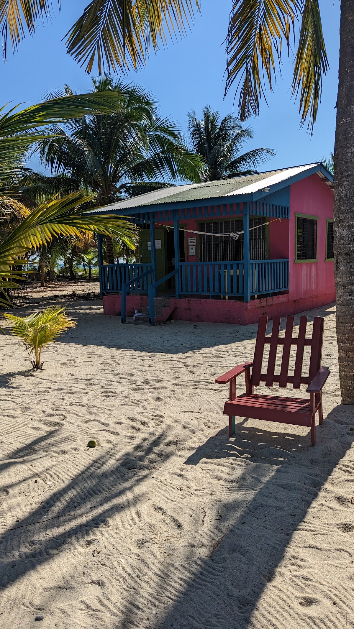 Trade Winds Hotel gallery 3