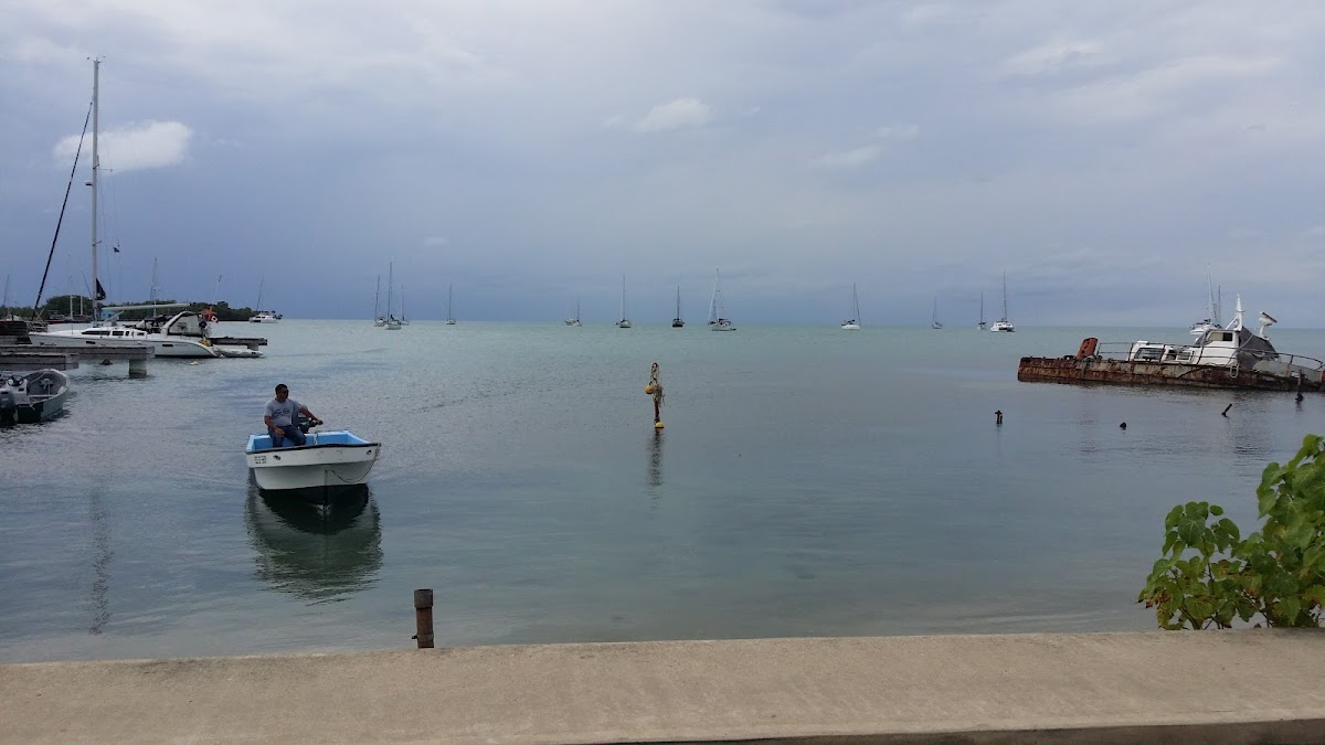 Trade Winds Hotel gallery 6