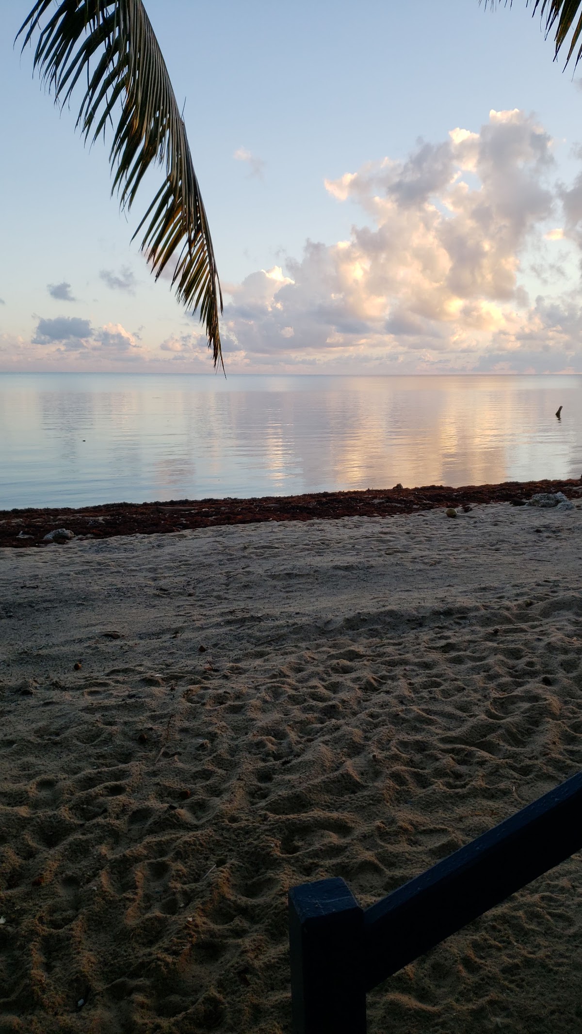 Trade Winds Hotel gallery 7