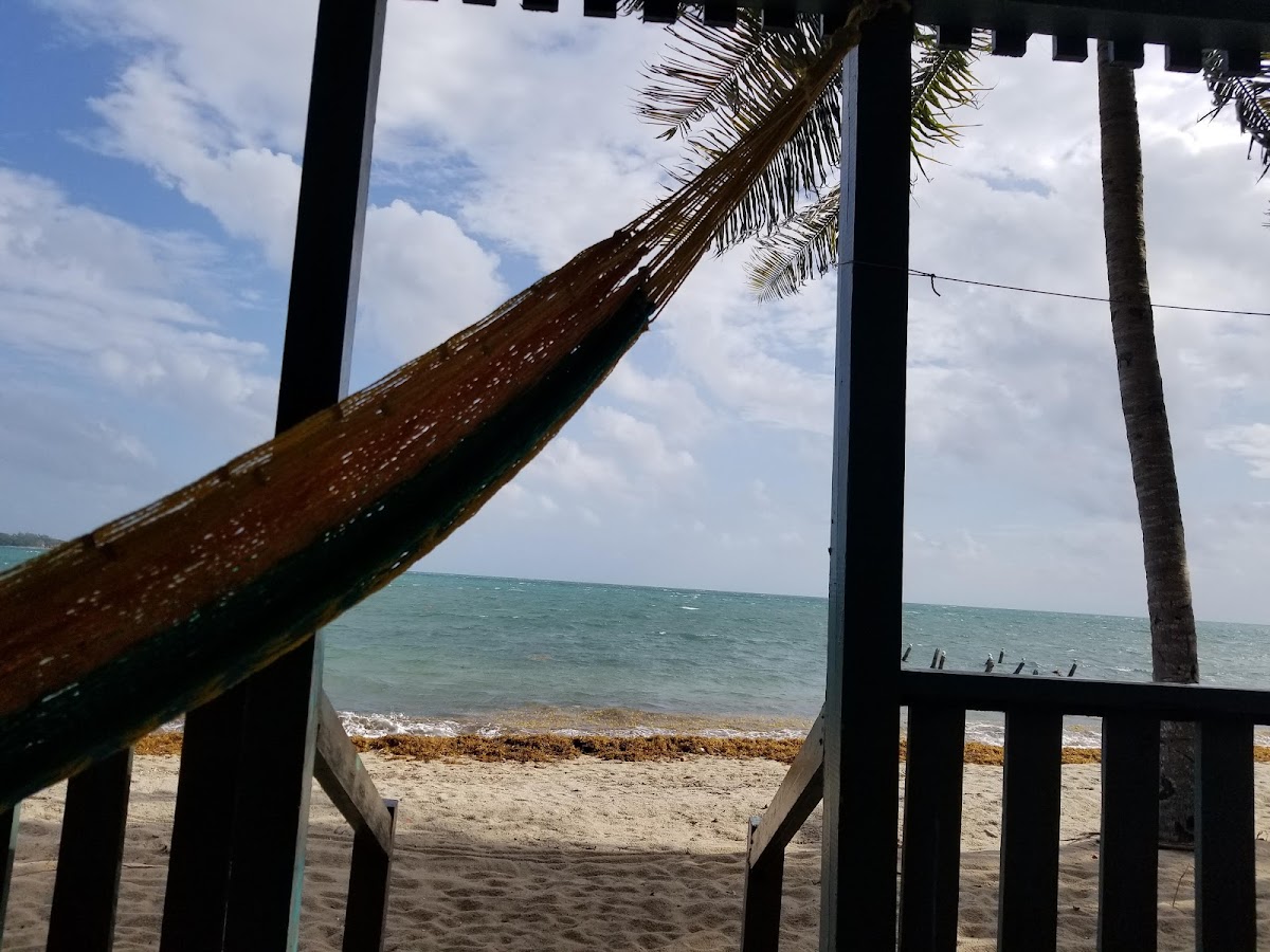 Trade Winds Hotel gallery 8