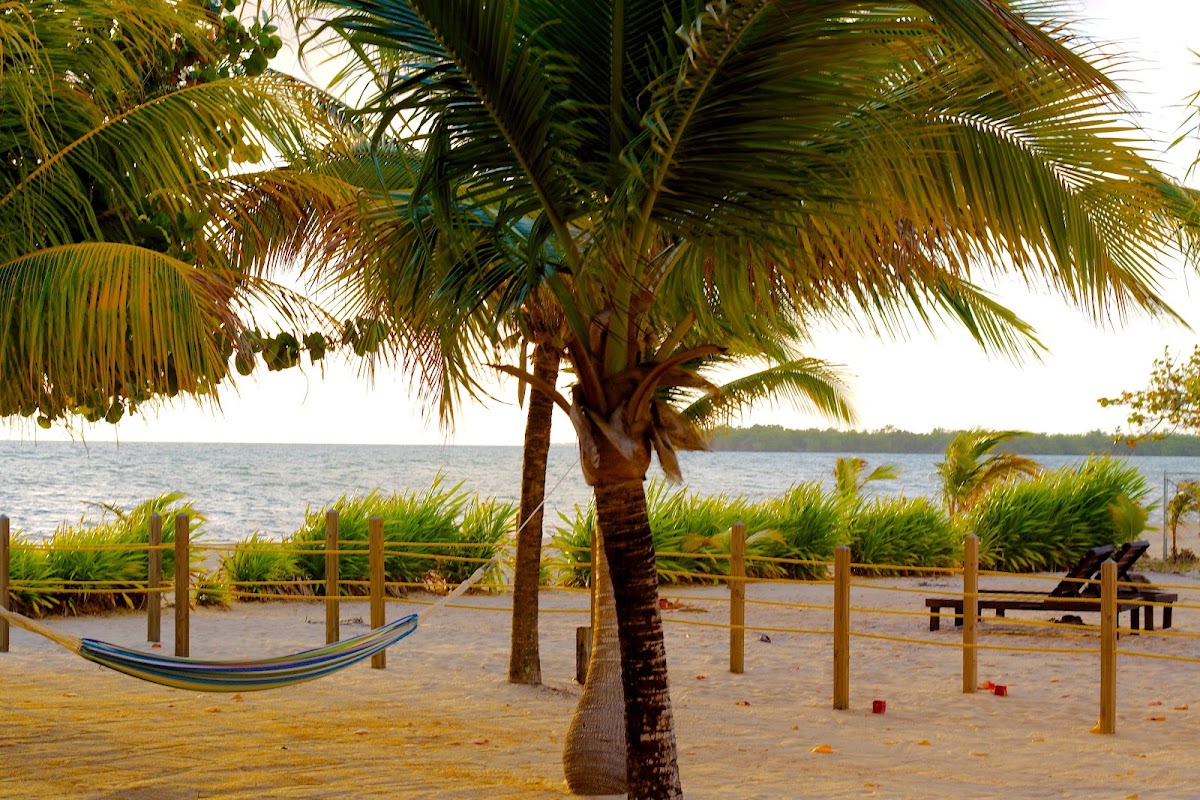 Hibiscus Beach Belize gallery 9