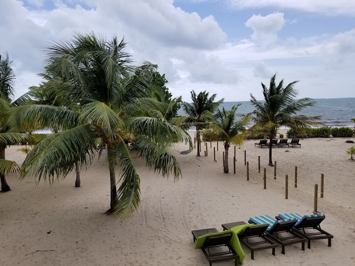 Hibiscus Beach Belize gallery 10