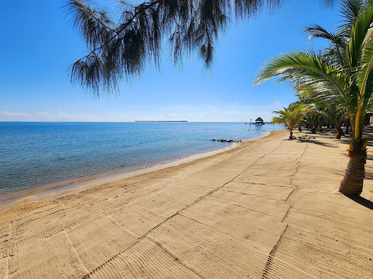 Ceiba Beach Resort And Residences gallery 8