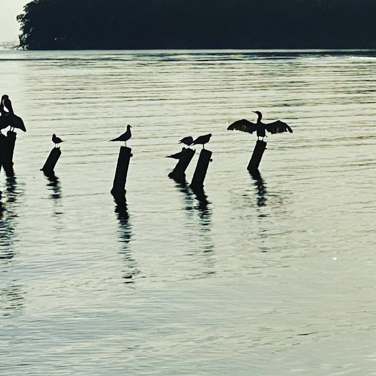 A Belizean Nirvana gallery 10