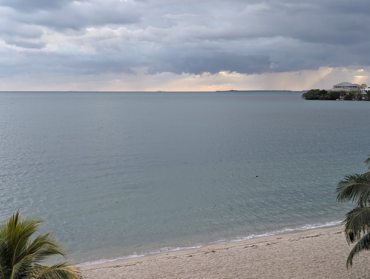 Lazy Palm Suites gallery 7