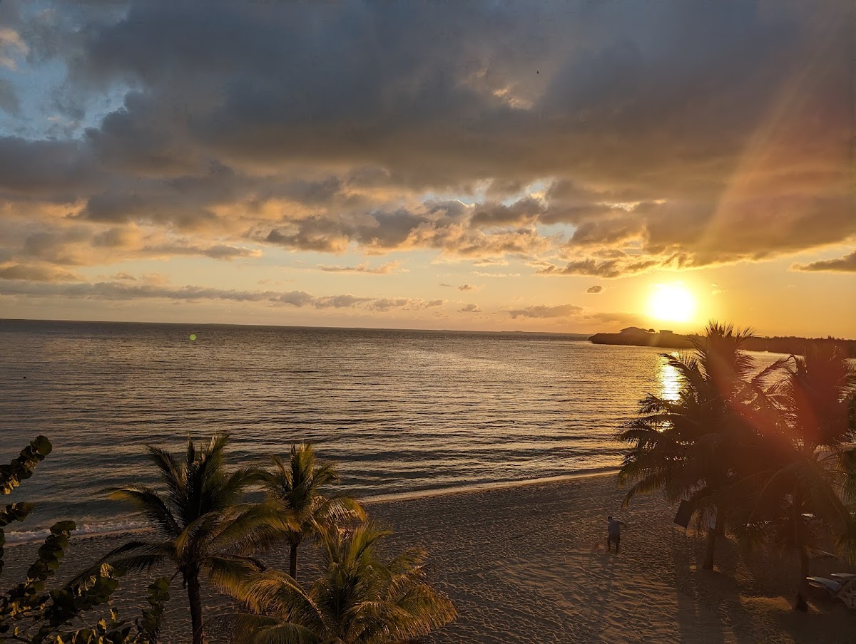 Lazy Palm Suites gallery 8