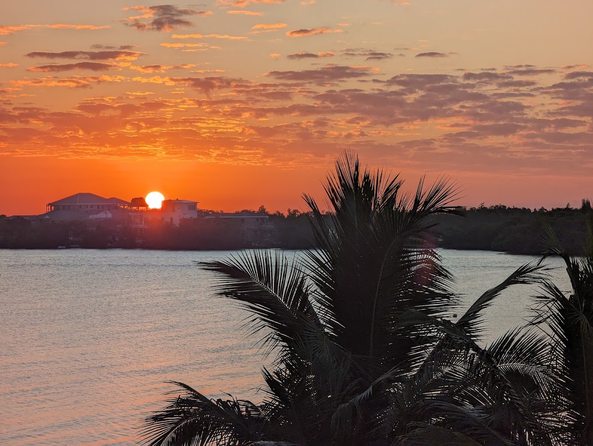 Lazy Palm Suites gallery 9