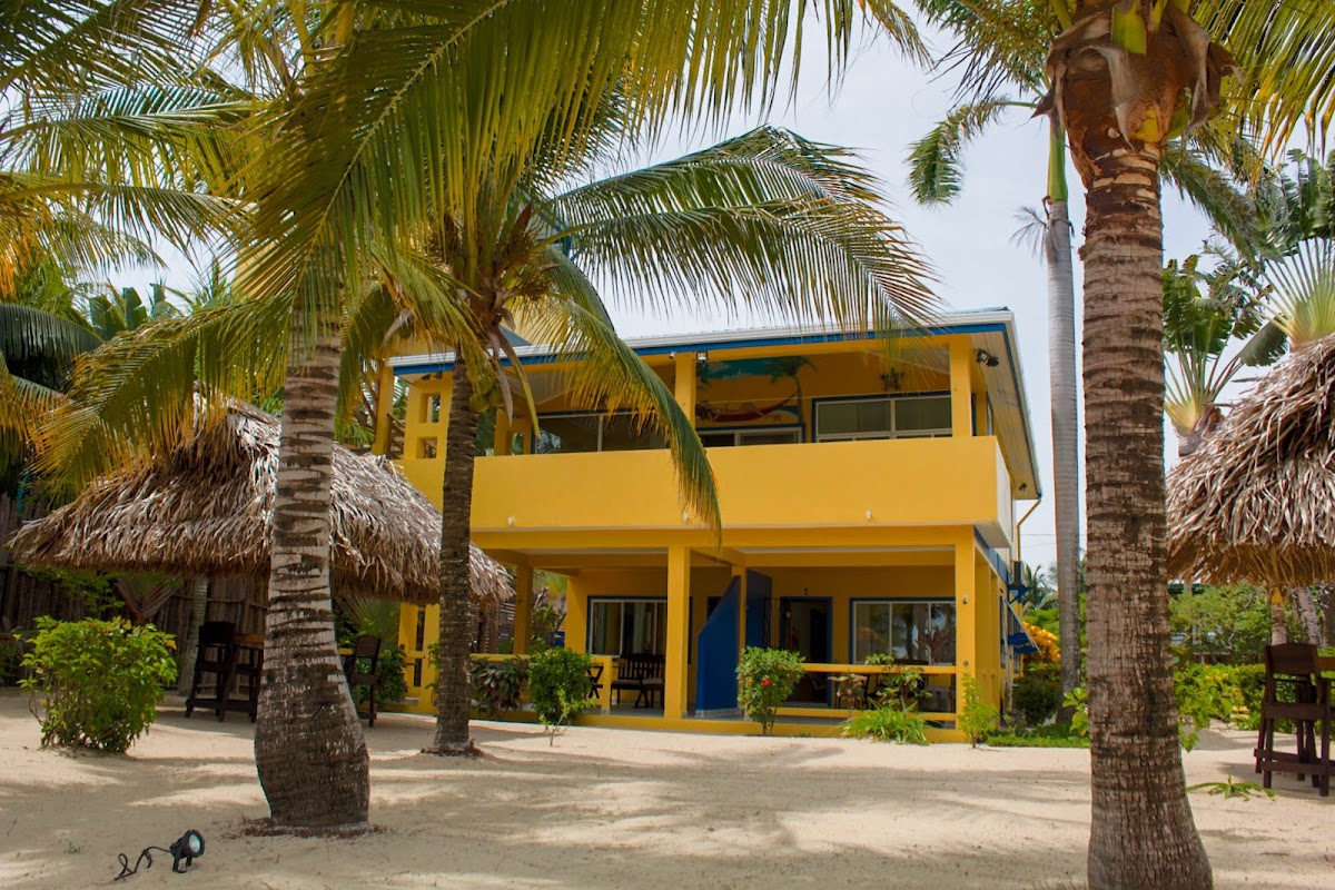 Casa Palma cover