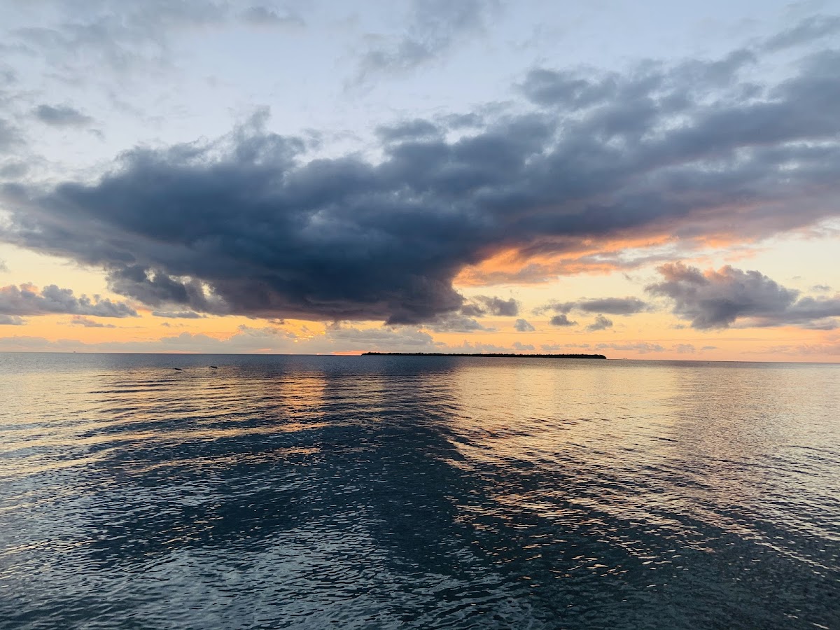 Green Parrot Resort-Pelican Pub & Grill gallery 4