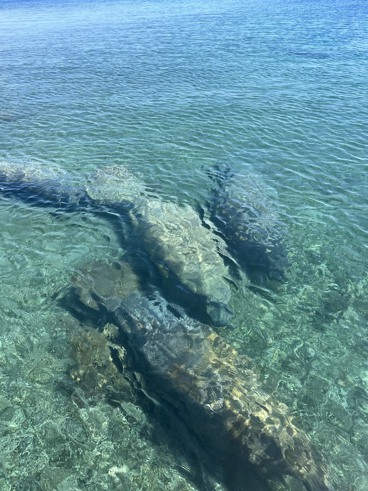 Green Parrot Resort-Pelican Pub & Grill gallery 7