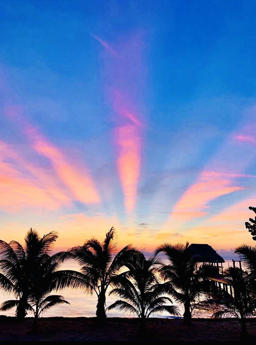 Green Parrot Resort-Pelican Pub & Grill gallery 10