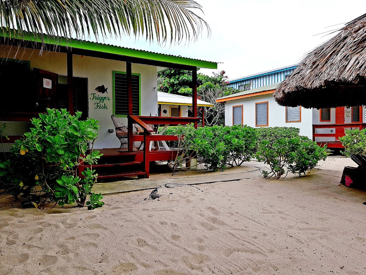 Ranguana Lodge cover