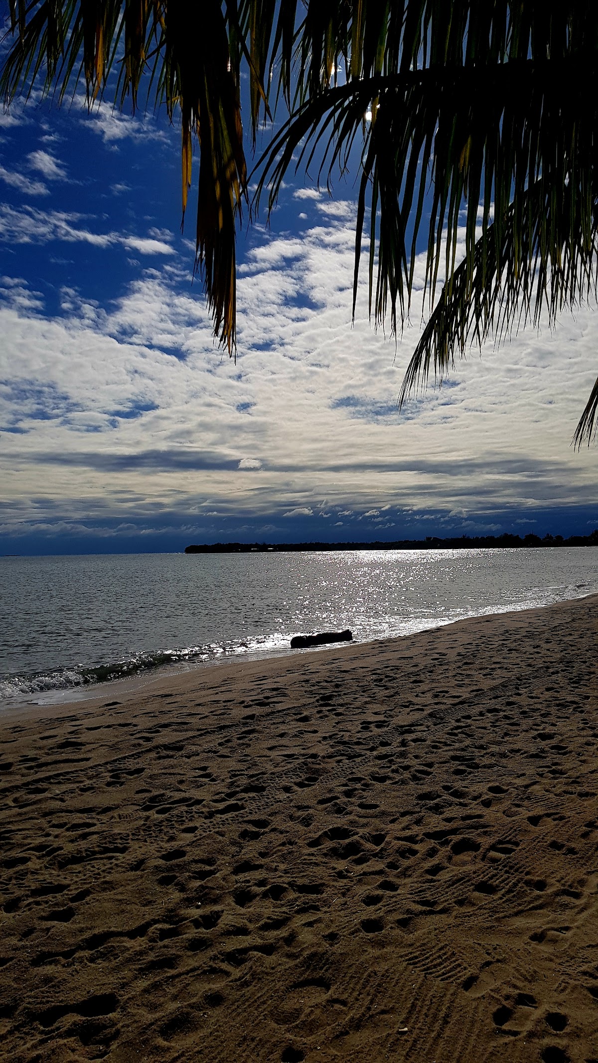Ranguana Lodge gallery 5