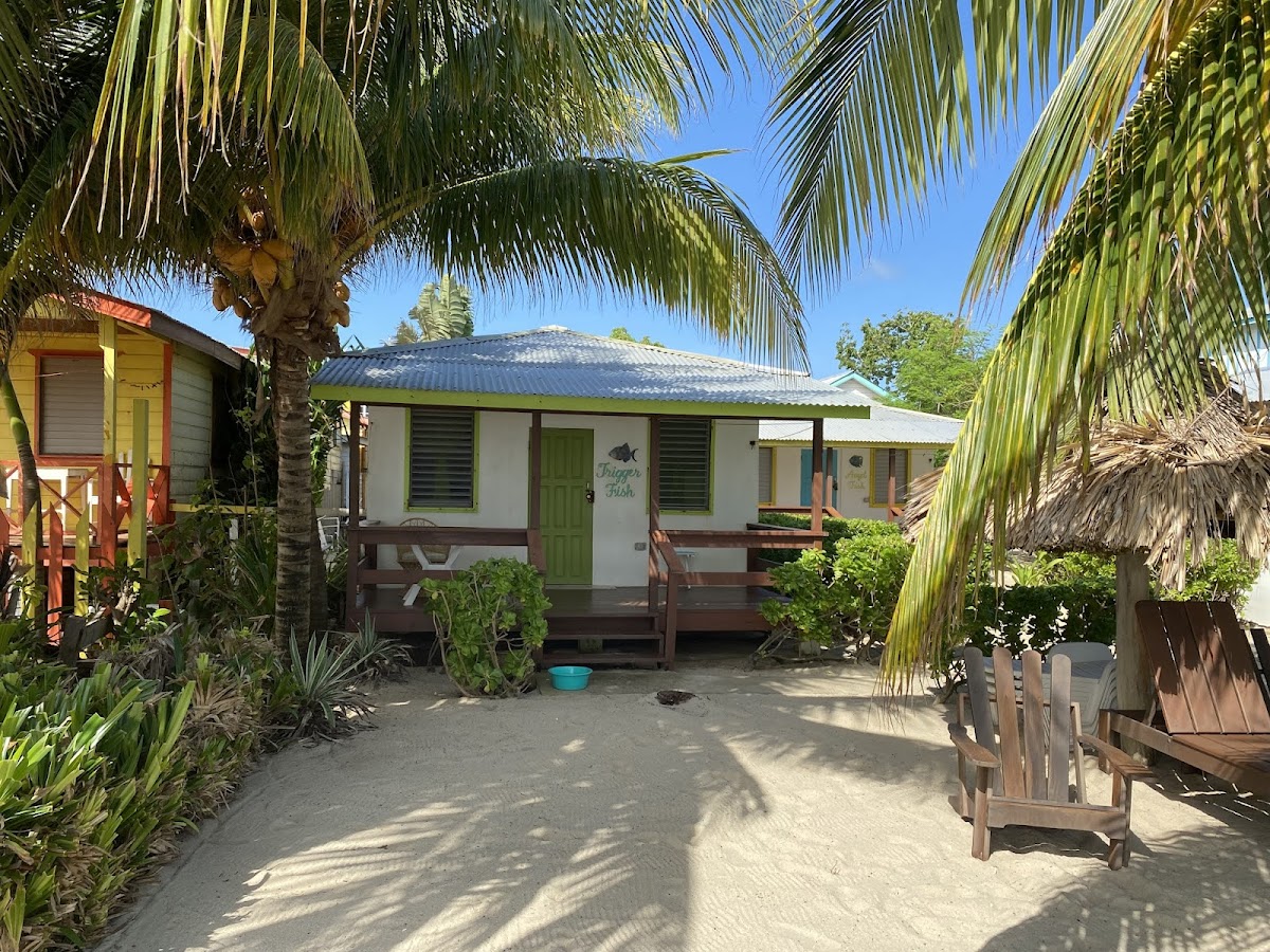 Ranguana Lodge gallery 8