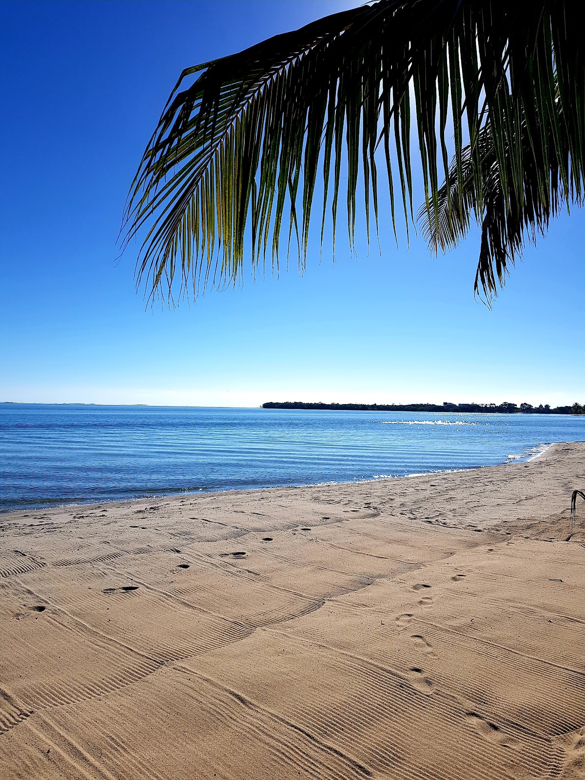 Ranguana Lodge gallery 10