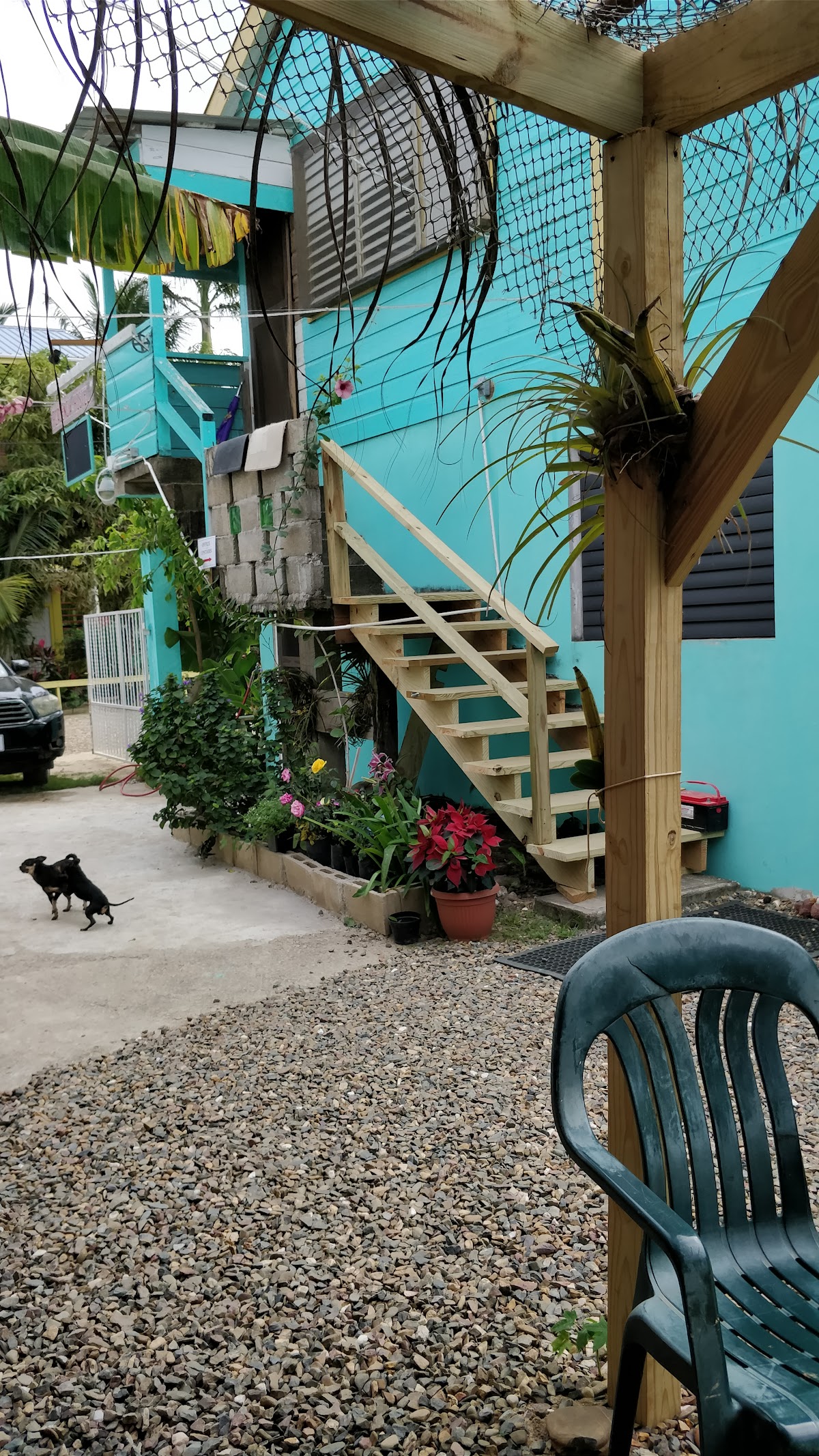 Placencia Hostel gallery 7