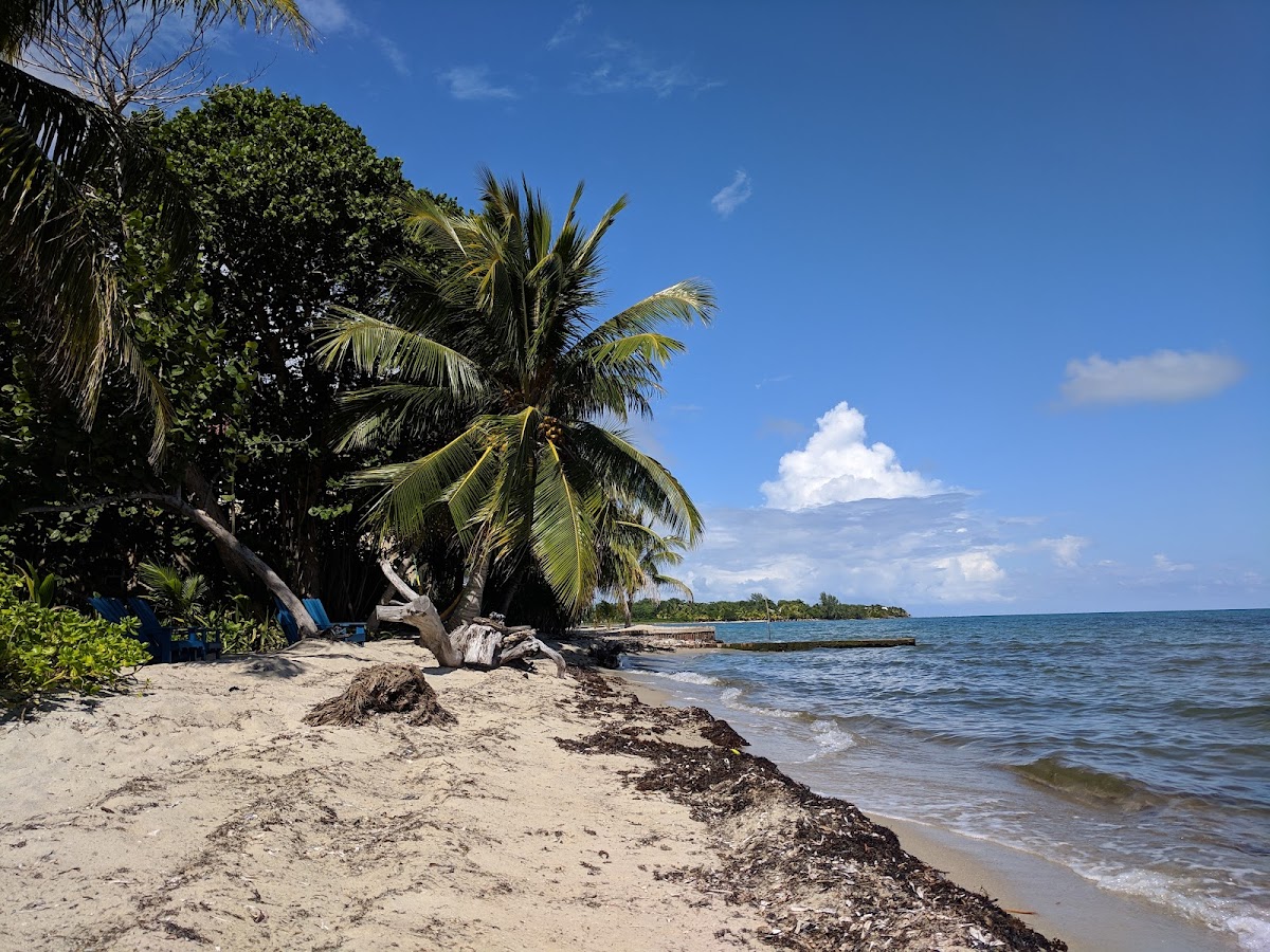 Finca gallery 3