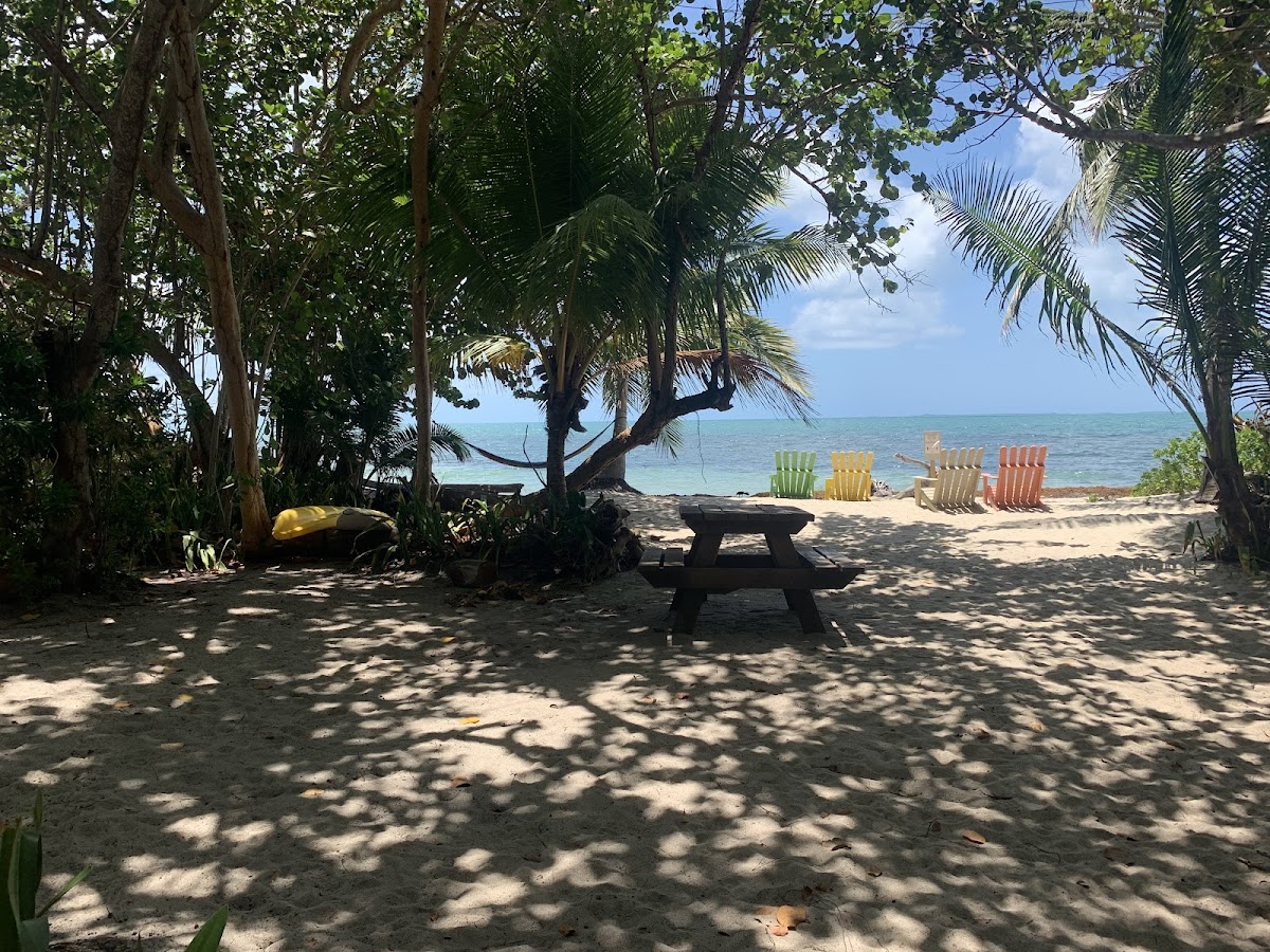 Finca gallery 4