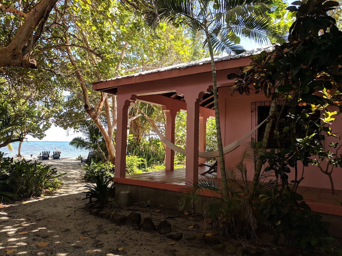 Finca gallery 9