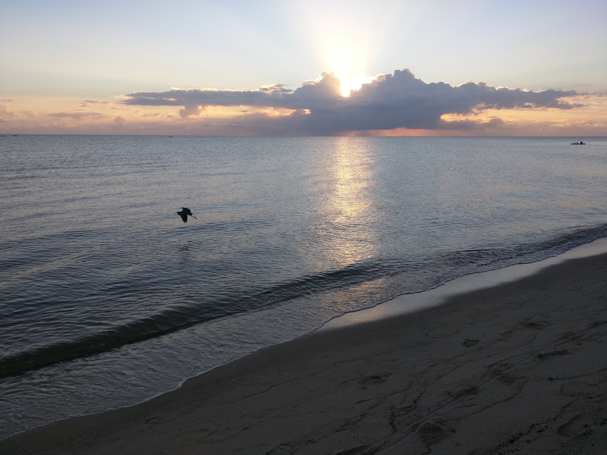 Cobia Beach Guest House gallery 8