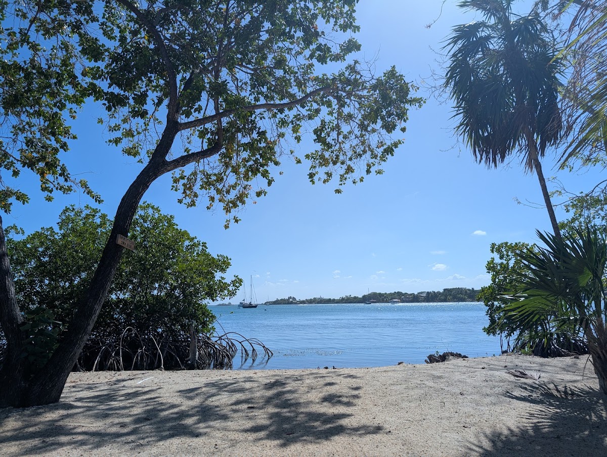 Gecko Vacation Rentals gallery 8