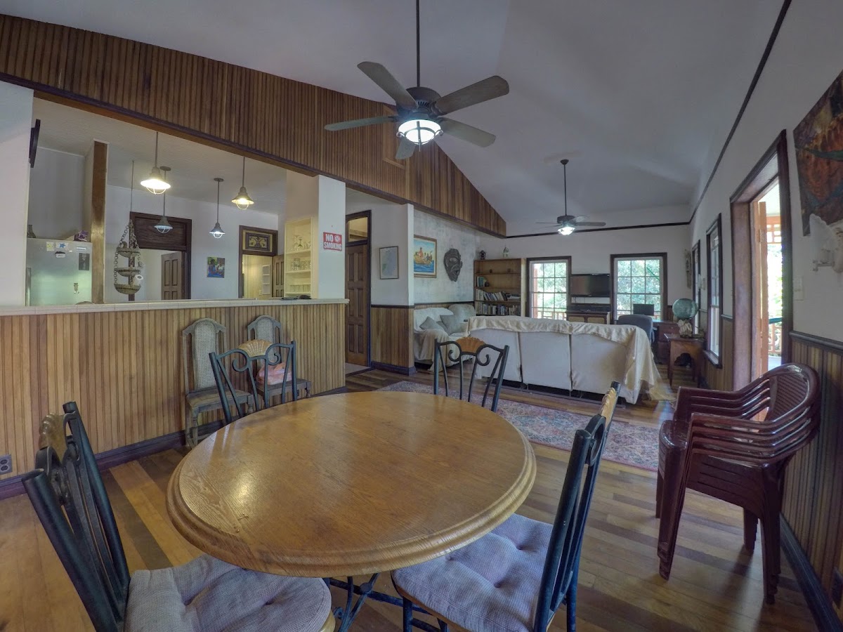 Kitty's Place gallery 10