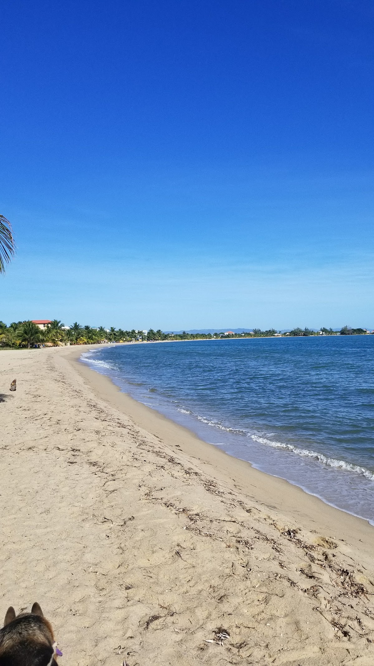 Jewel of Placencia gallery 3